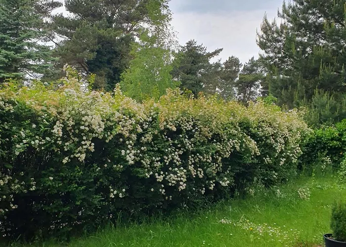 Гостевой дом Plaza 21